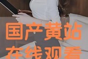 免费国产高清在线播放